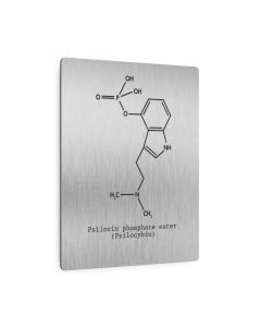 Psilocybin Molecule Patent Metal Print