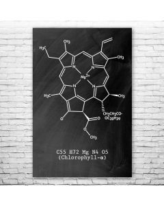Chlorophyll Molecule Poster Print