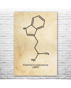DMT Molecule Poster Print