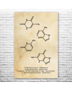 DNA Molecules Poster Print