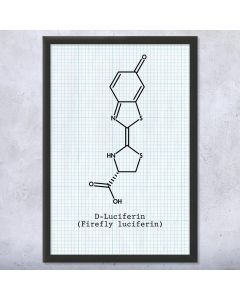 Luciferin Molecule Framed Wall Art Print