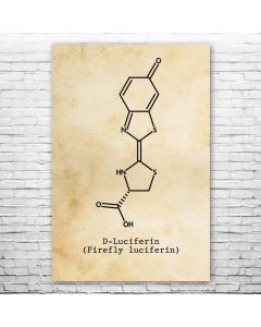 Luciferin Molecule Poster Print