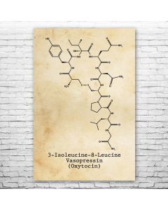 Oxytocin Molecule Poster Print