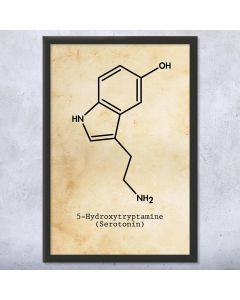 Serotonin Molecule Framed Patent Print