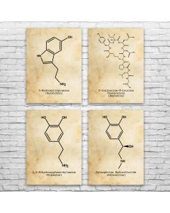 Neurotransmitter Molecules Posters Set of 4
