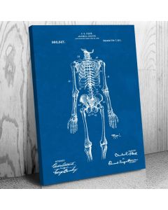 Anatomical Skeleton Canvas Patent Art Print