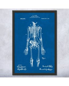 Anatomical Skeleton Framed Print