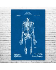 Anatomical Skeleton Poster Patent Print