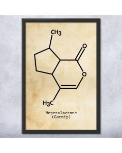 Nepetalactone Catnip Molecule Framed Print