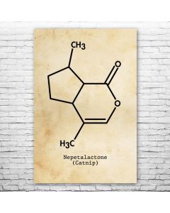 Nepetalactone Catnip Molecule Poster Print