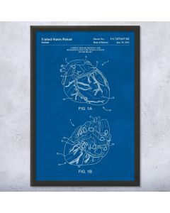 Human Heart Framed Print