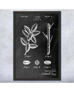 Pecan Tree Framed Patent Print