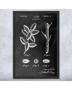 Pecan Tree Framed Print