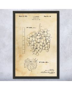 Seedless Grapes Patent Framed Print