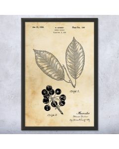 Cherry Tree Patent Print