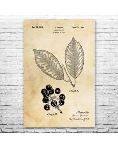 Cherry Tree Patent Print Poster
