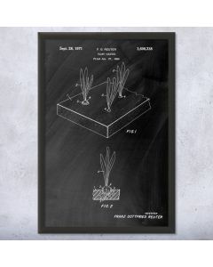 Plant Germination Tray Framed Print