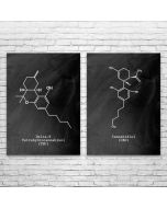 Cannabis Molecule Prints Set of 2