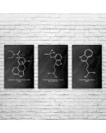 Psychedelic Molecule Posters Set of 3