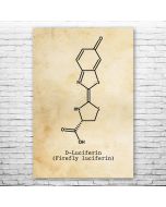 Luciferin Molecule Poster Print