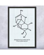 Fugu Fish Poison Tetrodotoxin Molecule Framed Wall Art Print