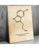 Serotonin Molecule Patent Canvas Print