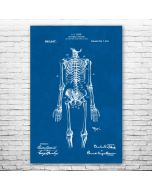Anatomical Skeleton Patent Print Poster