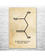 Beta Hydroxybutyrate Molecule Poster Print