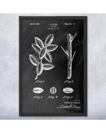 Pecan Tree Patent Framed Print