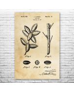 Pecan Tree Patent Print Poster