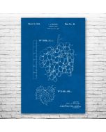 Seedless Grapes Patent Print Poster