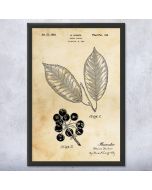Cherry Tree Patent Framed Print