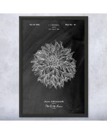 Dahlia Flower Patent Framed Print